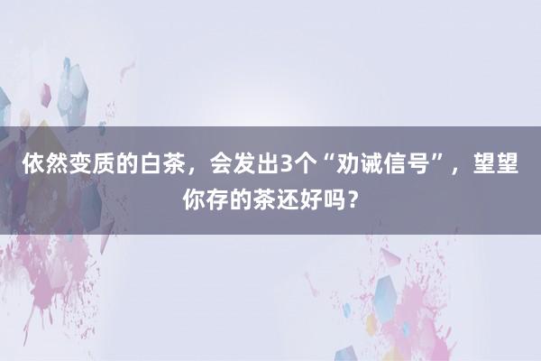 依然变质的白茶，会发出3个“劝诫信号”，望望你存的茶还好吗？