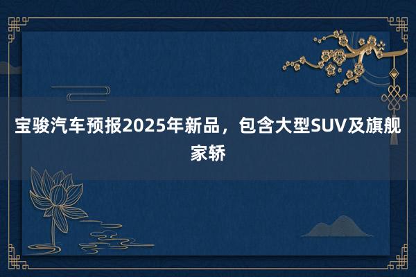 宝骏汽车预报2025年新品，包含大型SUV及旗舰家轿