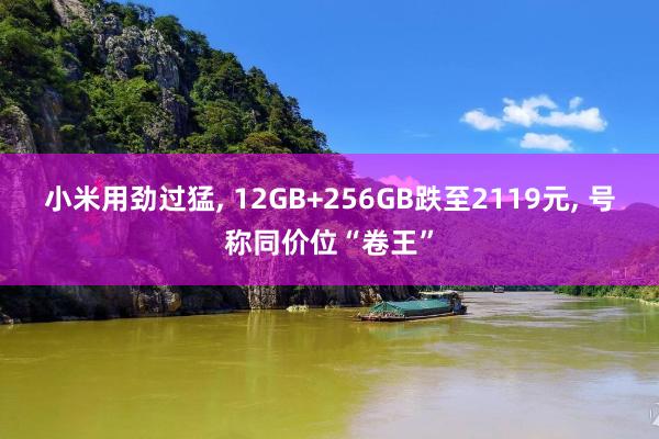 小米用劲过猛, 12GB+256GB跌至2119元, 号称同价位“卷王”