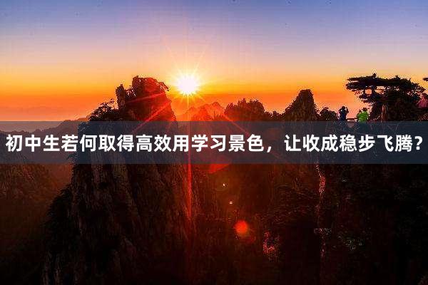 初中生若何取得高效用学习景色，让收成稳步飞腾？